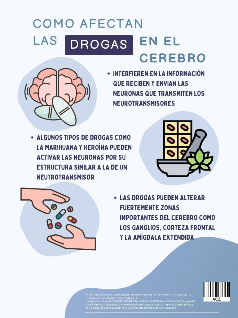 drogas en el cerebro